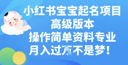小红书宝宝起名项目高级版本,操作简单,资料专业,月入过W-蓝海优创