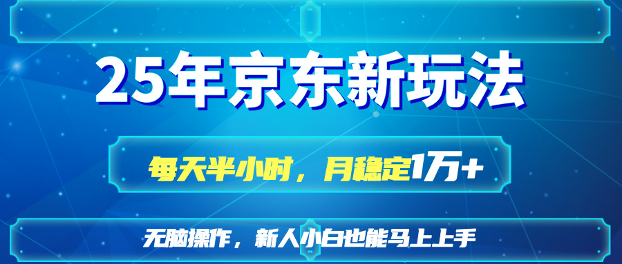 (14309期)25京东新玩法,每天半小时,月稳定1W+-蓝海优创