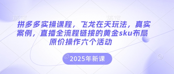 拼多多实操课程,飞龙在天玩法,真实案例,直播全流程链接的黄金sku布局原价操作六个活动-蓝海优创