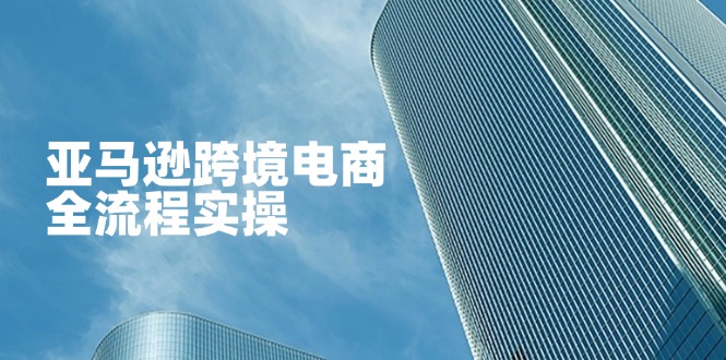 (14252期)亚马逊跨境电商全流程实操,教你从零开始,掌握店铺运营与广告技巧-蓝海优创