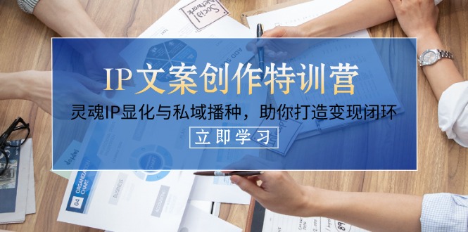 (14330期)IP文案创作特训营,灵魂IP显化与私域播种,助你打造变现闭环(14节课)-蓝海优创