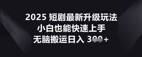 2025短剧最新升级玩法，小白也能快速上手，无脑搬运日入3张-蓝海优创