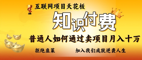 互联网项目天花板，知付付费项目，普通人如何通过卖项目月入十个，拒绝韭菜【揭秘】-蓝海优创