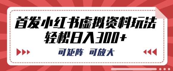 首发小红书虚拟资料玩法,可矩阵,可放大,轻松日入3张-蓝海优创