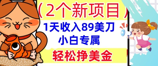 2个新项目,轻松挣美金, 1天收入89美刀,小白专属,干货分享-蓝海优创