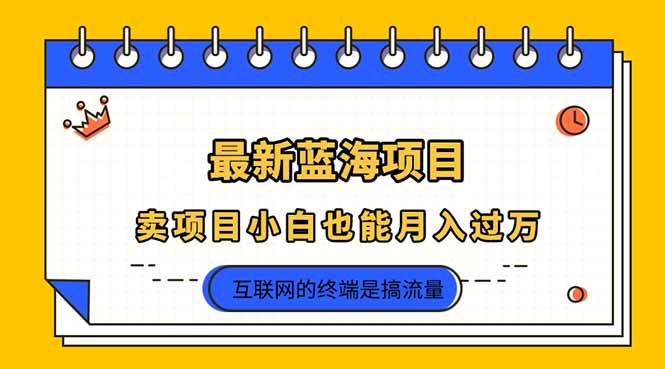 (14289期)2025年最新蓝海项目,卖项目小白也能月入过万-蓝海优创