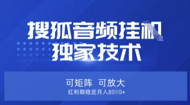 【搜狐音频挂G】独家技术，可矩阵可放大，红利期稳定月入8k【揭秘】-蓝海优创