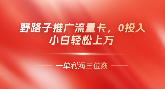 0门槛推广流量卡,一单收益上百,0投入,小白月入过W-蓝海优创