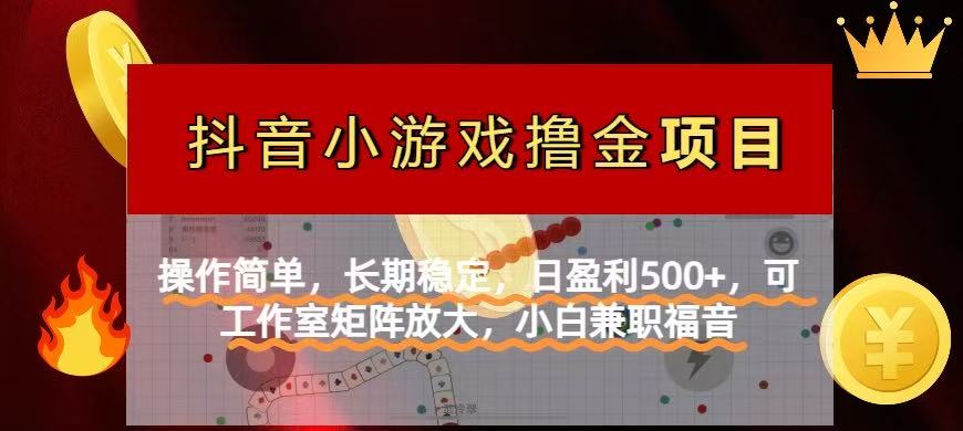 (14290期)【抖音小游戏发行人计划项目】操作简单,长期稳定,日盈利500+,可工作...-蓝海优创