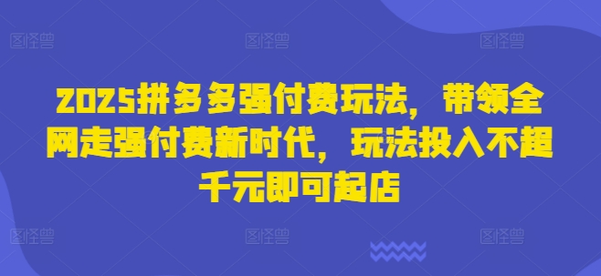 2025拼多多强付费玩法,带领全网走强付费新时代,玩法投入不超千元即可起店-蓝海优创