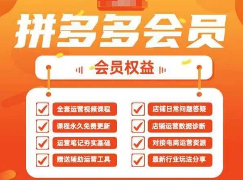 2025拼多多运营实战课,40节全流程教学,覆盖拼多多运营全链路-蓝海优创