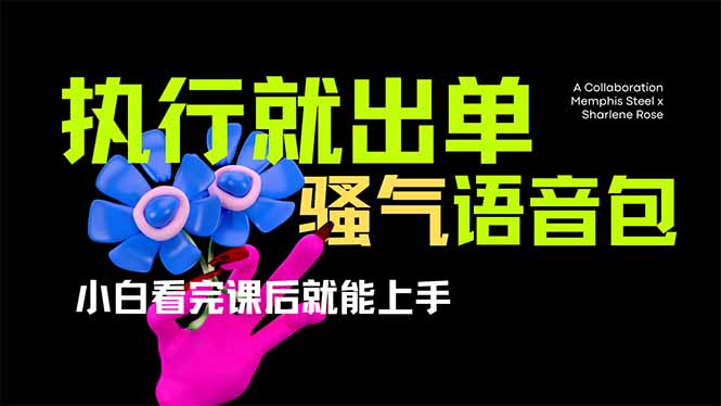(14170期)爆火全网的开车导航骚气语音包,只要执行就出单,小白看完课程就能实操...-蓝海优创
