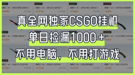 真全网独家CSGO挂G,单日捡漏1k+【揭秘】-蓝海优创