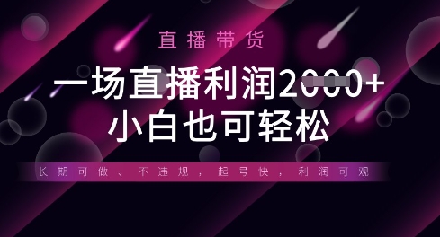 半无人直播带货，一场利润数张，适合所有平台玩法，小白也可轻松-蓝海优创