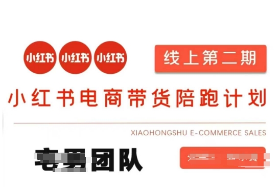 小红书电商带货课2期，月利润20个的小红书电商的有货源，无货源，虚拟产品，付费投流等整套玩法-蓝海优创