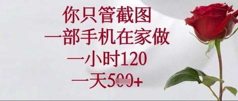 你只管截图,一部手机在家操作,一小时120.一天5张【揭秘】-蓝海优创