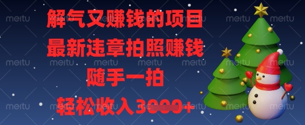 解气又挣钱的项目,最新违章拍照挣钱,随手一拍,轻松收入数张【揭秘】-蓝海优创